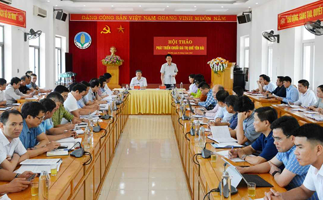 Đồng chí Phó Chủ tịch Thường trực UBND tỉnh Nguyễn Thế Phước phát biểu tại Hội thảo.