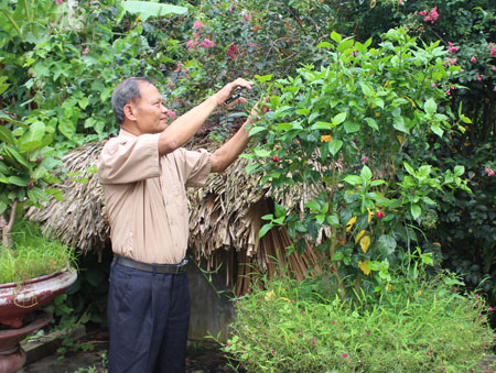 Ông Hà Văn Định chăm sóc cây cảnh trong vườn nhà.