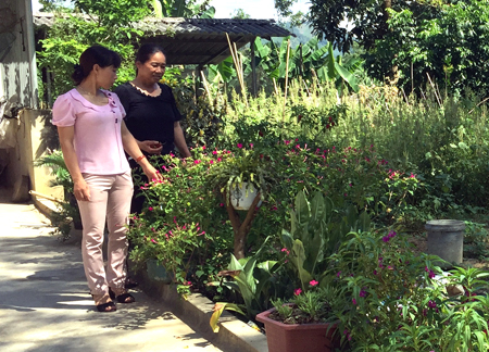 Cán bộ phụ nữ xã Việt Cường, huyện Trấn Yên tới thăm và kiểm tra mô hình “Nhà sạch, vườn đẹp” của hội viên.