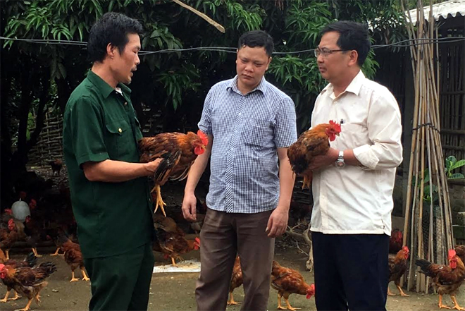 Lãnh đạo Hội Cựu chiến binh huyện Văn Yên thăm mô hình nuôi gà thương phẩm của gia đình hội viên Lê Xuân Kình ở thôn Đại An, xã An Thịnh.