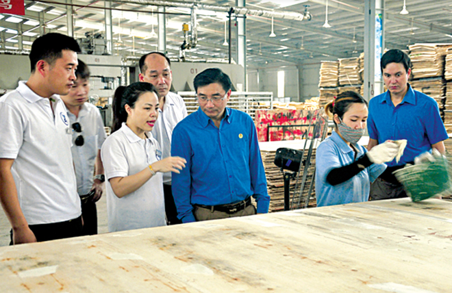 Chế biến gỗ rừng trồng là lĩnh vực kinh tế có nhiều tiềm năng, thế mạnh của tỉnh Yên Bái.