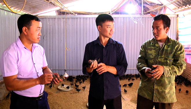 Cán bộ kỹ thuật Phòng Nông nghiệp và Phát triển nông thôn huyện Trạm Tấu thường xuyên xuống hỗ trợ nông dân kỹ thuật nuôi gà đen.