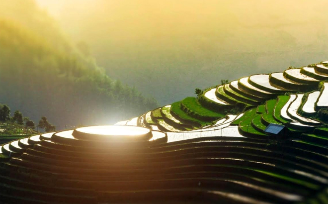 The beauty of terraced rice fields