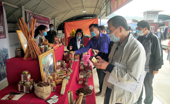 Representatives of businesses in and outside the province visit a booth introducing products of the Vietnam aniseed and cinnamon cooperative.