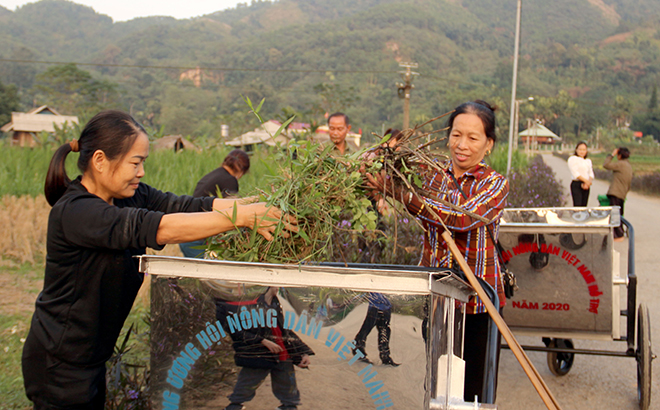 Định kỳ mỗi tháng 2 lần, hội viên Chi hội Nông dân thôn Bản Vần, xã Việt Hồng, huyện Trấn Yên tổ chức vệ sinh đường làng, ngõ xóm, tạo môi trường xanh - sạch - đẹp. 