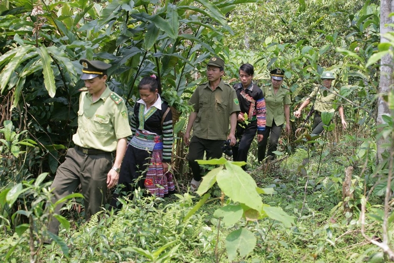 Công tác bảo vệ và phòng cháy, chữa cháy rừng trên địa bàn huyện Mù Cang Chải được đặc biệt chú trọng.