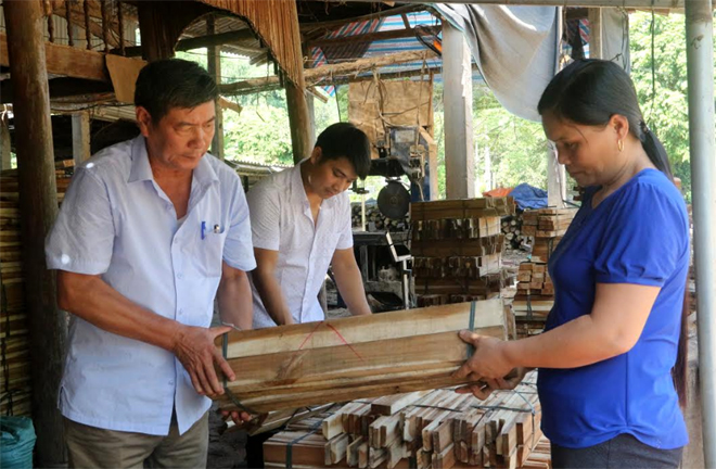 Các thành viên HTX Dịch vụ tổng hợp xã Tân Nguyên, huyện Yên Bình được Chương trình FFF tập huấn nâng cao kiến thức về sản xuất, chế biến, liên kết tìm kiếm thị trường tiêu thụ ổn định.