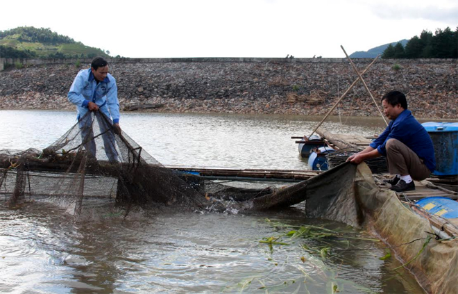Người dân huyện Mù Cang Chải nuôi cá lồng tại khu vực chứa nước đập thủy điện Khao Mang Thượng.