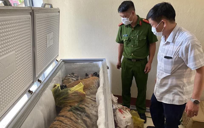 Cá thể hổ được phát hiện trong tủ lạnh.