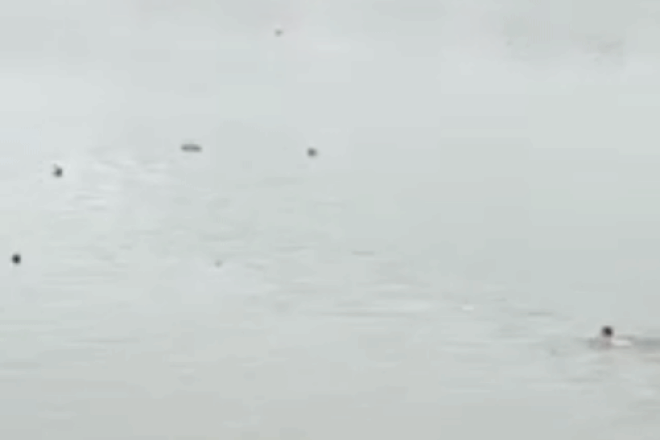 Hình ảnh Thượng úy Ngô Văn Thứ bơi ra dòng nước lớn cứu cô gái bị đuối nước (Ảnh cắt từ clip).