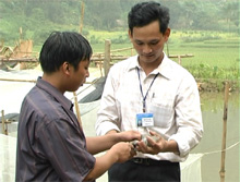 link m88 mới