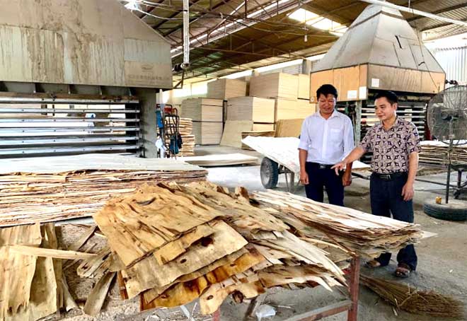 Ông Nguyễn Hải Vân - Giám đốc Doanh nghiệp tư nhân Ngân Sơn giới thiệu về quy trình chế biến, sản xuất gỗ ván ép.