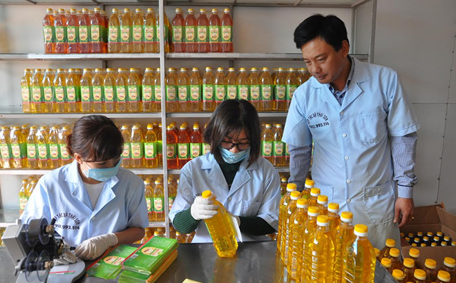 Dán nhãn sản phẩm dầu lạc tại Hợp tác xã Thái Sơn, huyện Lục Yên.