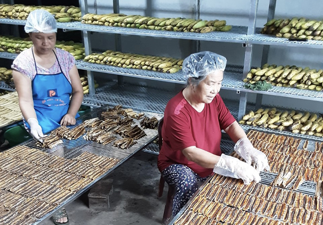 Sản xuất sản phẩm chuối sấy dẻo ở HTX Dịch vụ nông nghiệp Việt Thành.